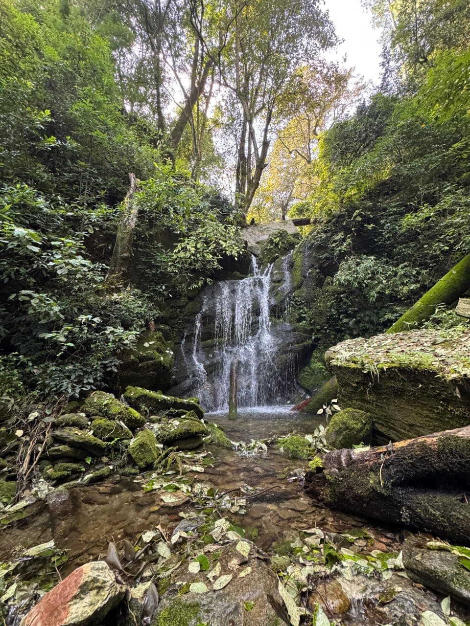 Waterfall inside Binsar forest, Uttarakhand