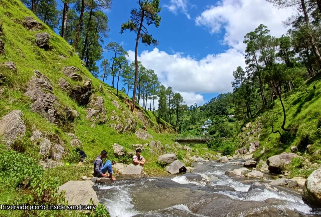 River flowing through Binsar Wildlife Sanctuary