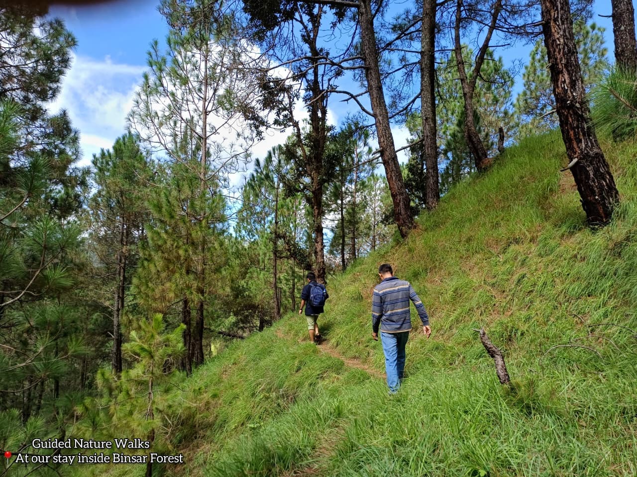 Snow-capped Himalayan peaks viewed from Binsar Wildlife Sanctuary, Uttarakhand