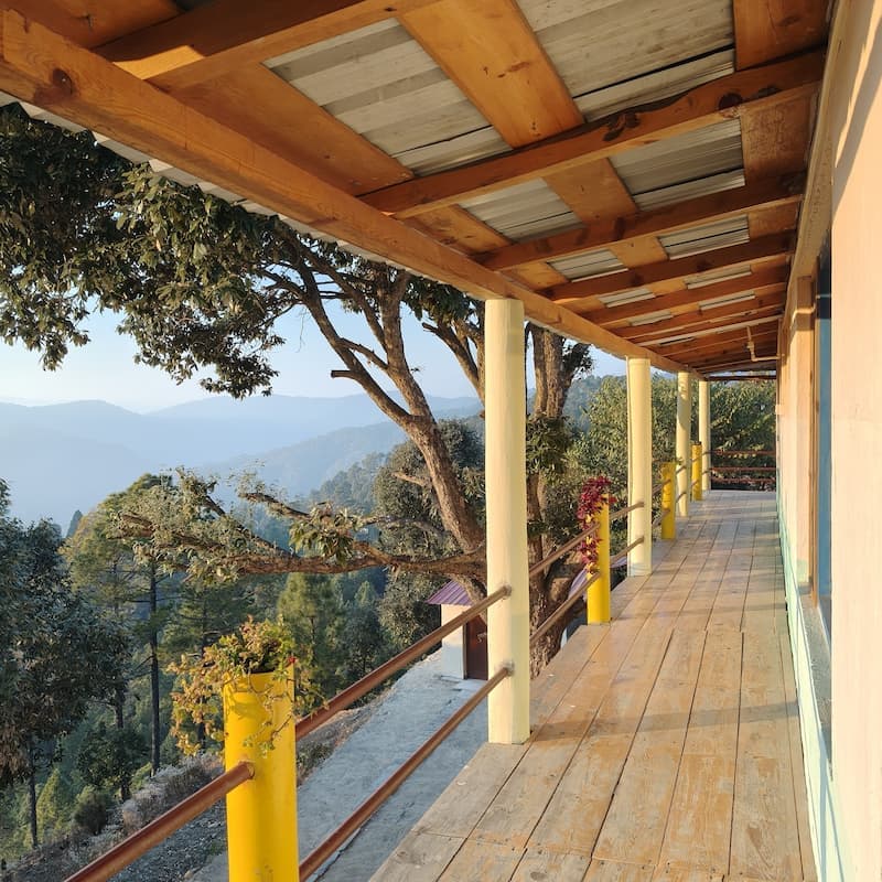 Forest homestay accommodation surrounded by oak trees in Binsar