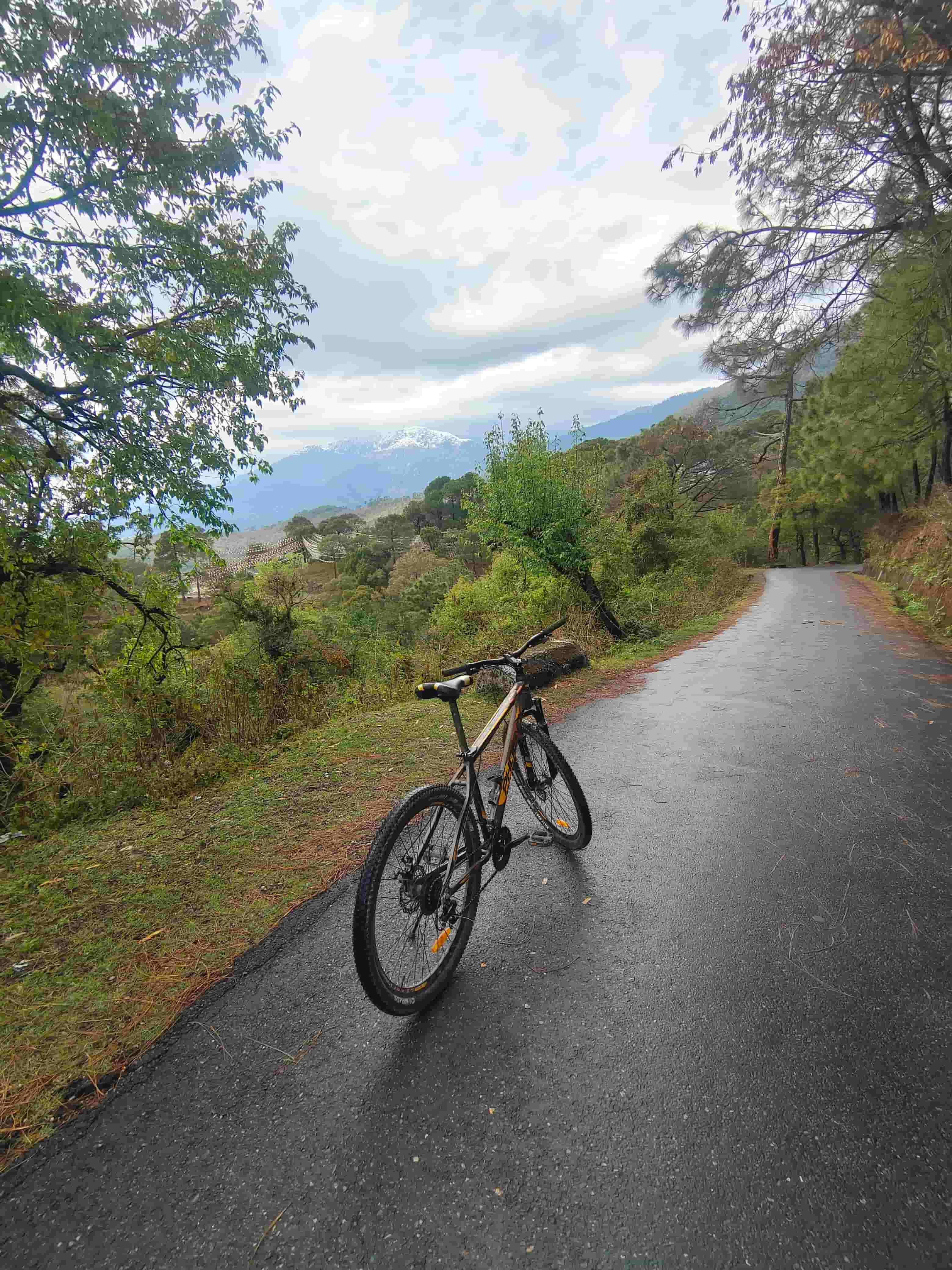 Mountain biking through forest trails in Bir Billing Himalayas